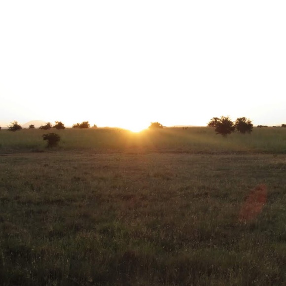 Meet your Posher, Annie - Picture 1 of 1